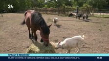 Správy z regiónov (07. 10. 2026)