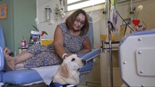 V ťažkých chvíľach vyčaruje onkologickým pacientom úsmev na tvári: Labrador Dylan pomáha v gréckej nemocnici