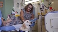 V ťažkých chvíľach vyčaruje onkologickým pacientom úsmev na tvári: Labrador Dylan pomáha v gréckej nemocnici