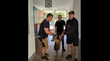 VIDEO: Gymnázium v Uherskom Hradišti navštívil nečakaný návštevník, do budovy vbehol srnec