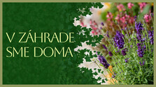 VZahradeSmeDoma_261002.png