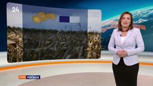 Počasie (14. 10. 2026) (Repríza)