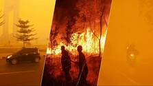 FOTO/VIDEO: Oranžová obloha, zavreté školy a státisíce chorých, smog z požiarov sužuje Indonéziu