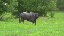 Cyklopotulky- Jeseníky Lipová - Lázně