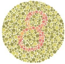 8micka