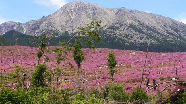 tatry-kalamita2