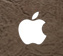 apple_icon.png
