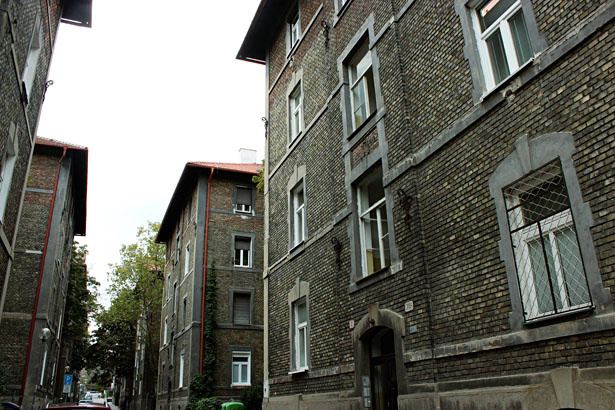 cierne_diery_foto_miroslav_benak.jpg