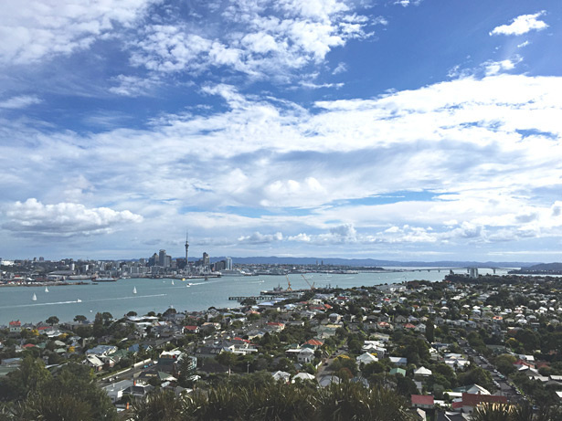 8-auckland.jpg