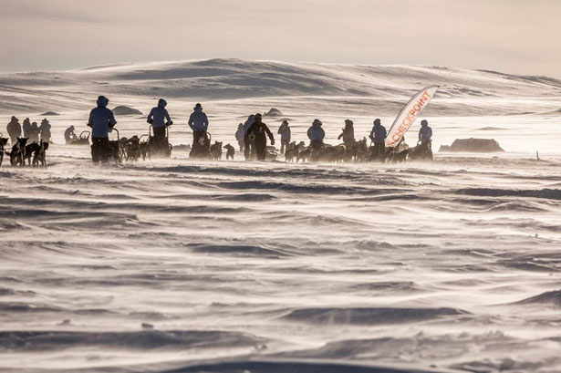 polar skupina.jpg
