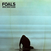 foals.jpg
