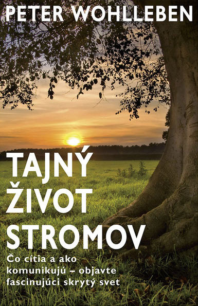 tajny_zivot_stromov.jpg