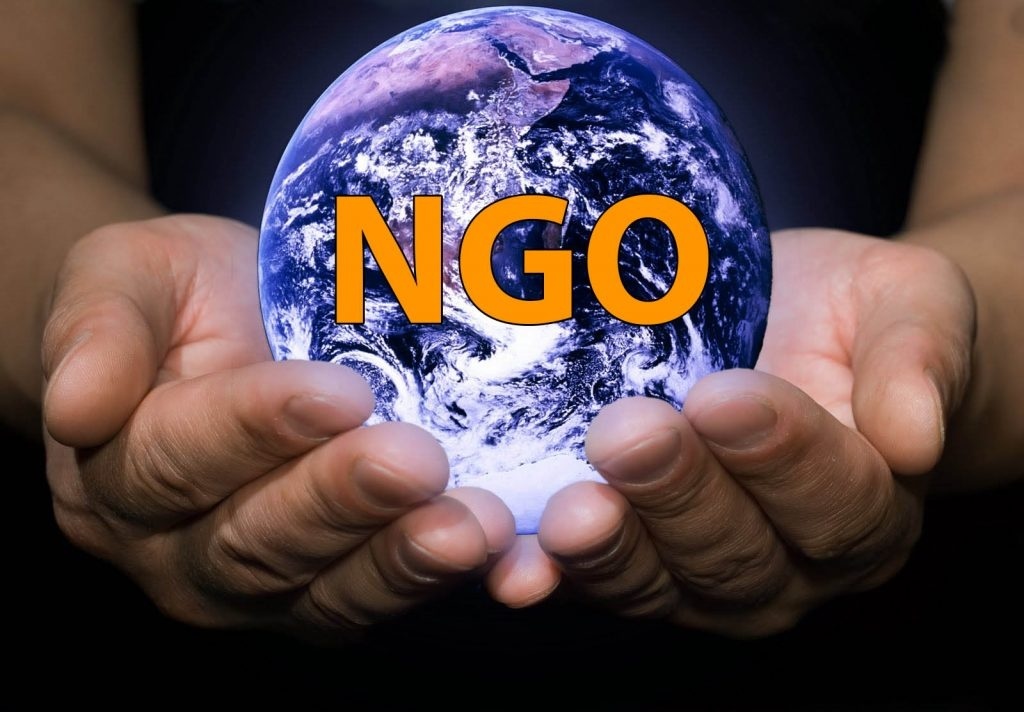 ngo-1024x712.jpg