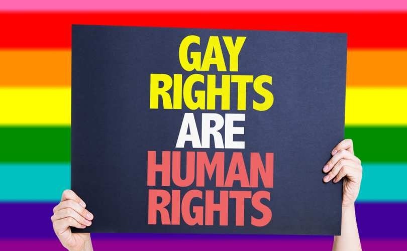 gay_rights_are_human_rights_810_500_55_s_c1 (1).jpg