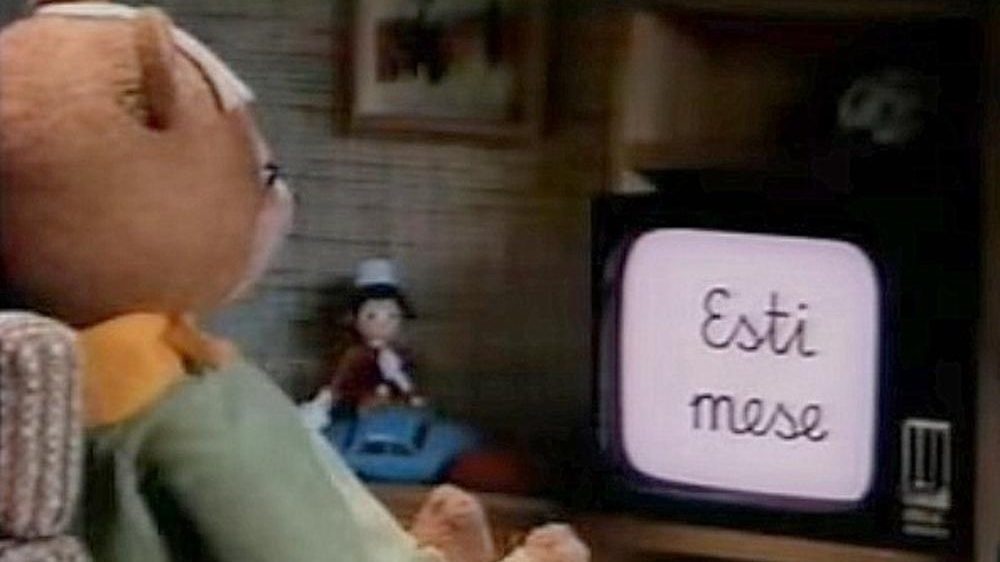 maci2.jpg