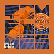 swan.jpg