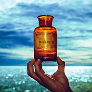 Blackfield_V_album_cover_image.png