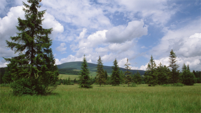 orava krajina slovensko priroda_Flickr.com_Peter Fenda.jpg