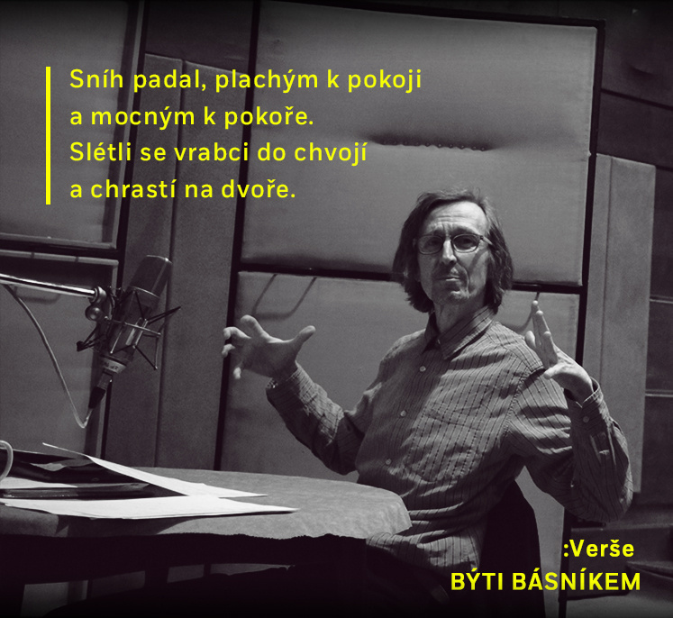 basnik3.jpg