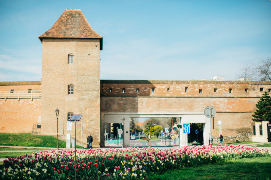 Trnava gate s tulipanmi_mesto Trnava.jpg