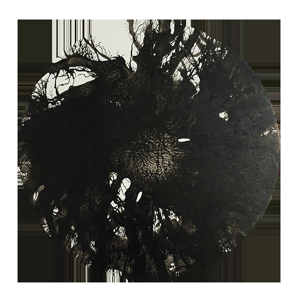CO9.png