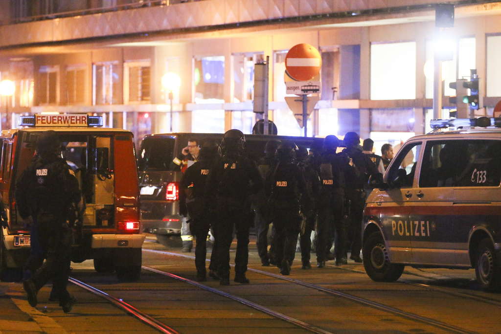 Austria_Police_Operation113293738554.jpg