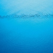 07 a0092738776_10.jpg