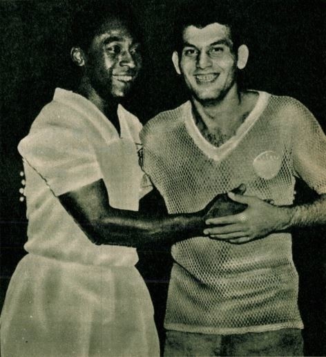 pele_farkas.jpg