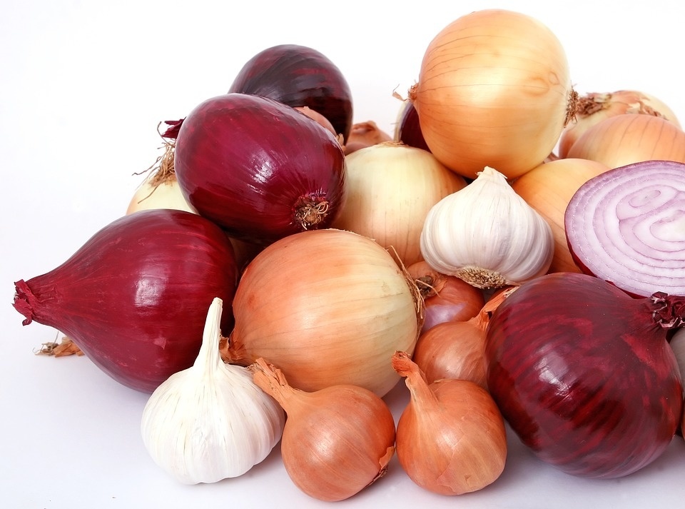 bulb-1238332_960_720.jpg