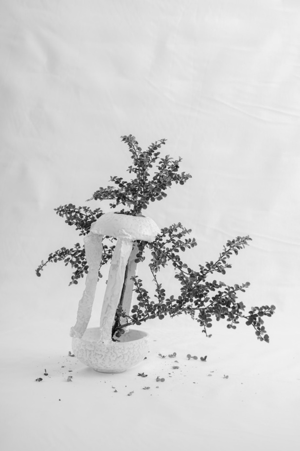 CO8.jpg