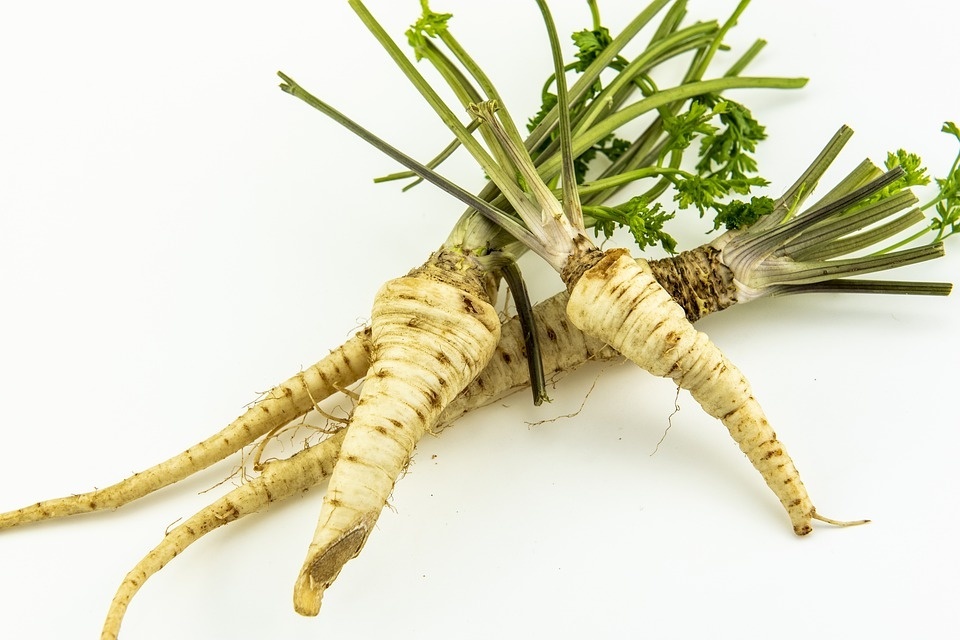 parsley-4546757_960_720.jpg
