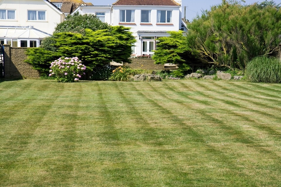 grass-220465_960_720.jpg