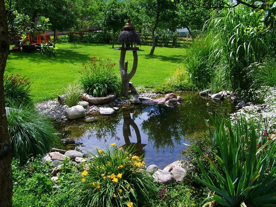 garden-pond-823722_960_720.jpg