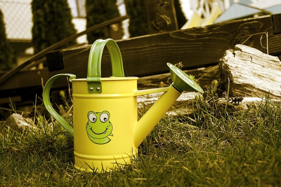 garden-4100395_960_720.jpg
