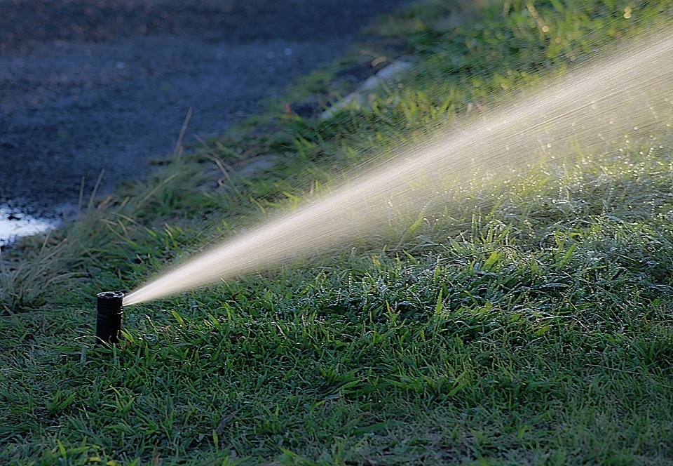 water-1544808_960_720.jpg