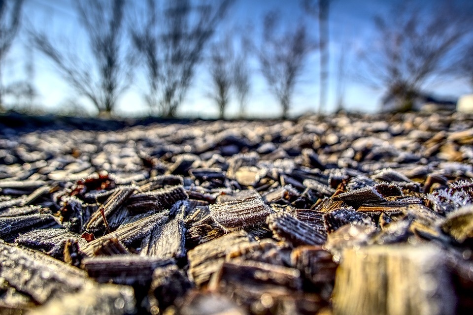 mulch-3942876_960_720.jpg