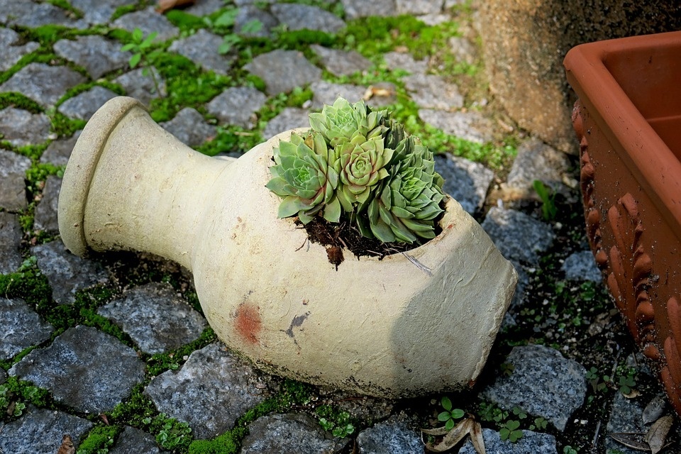 amphora-950618_960_720.jpg