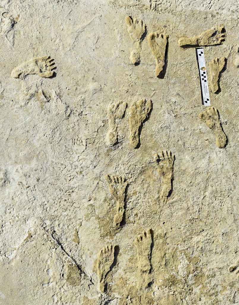 North_America_Oldest_Fossil_Footprints861195812000.jpg