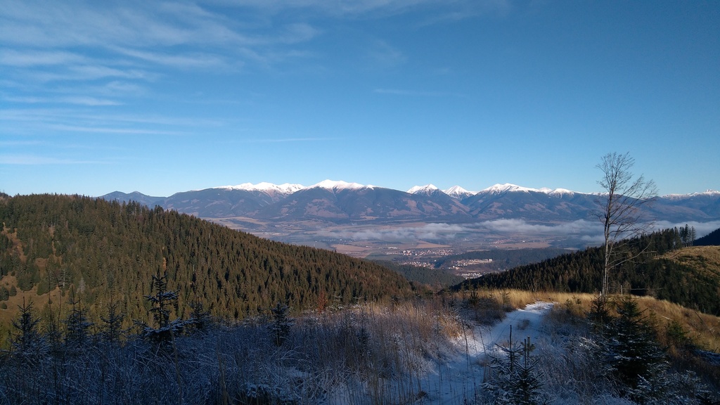 IMG_20201209_102058.jpg