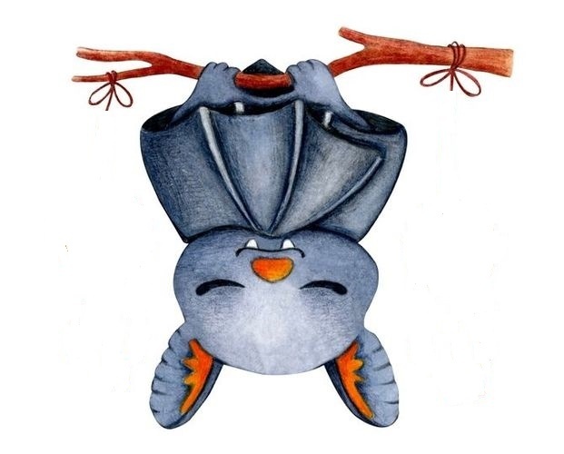 netopier.clanok.jpg