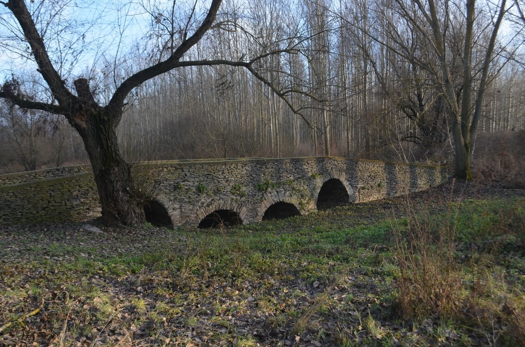 p88.jpg