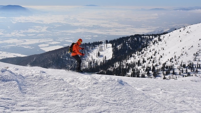 skier-gcb1d67da2_640.jpg