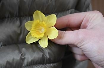 t_narcis08_28_4_2022864952.jpg
