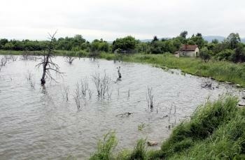 t_24052013_Kos_mokrade_3062569.jpg