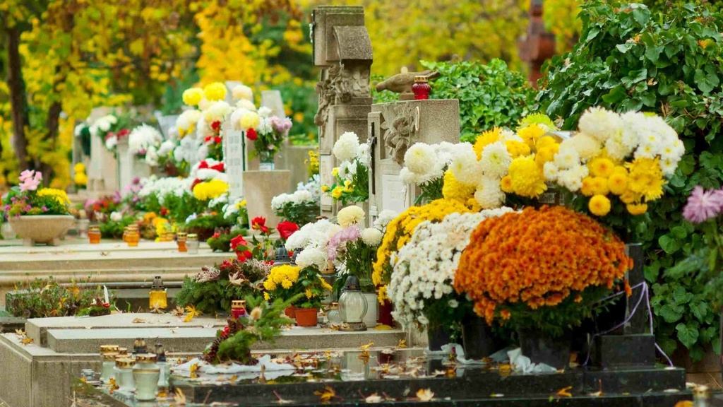Foto CANVA(127).jpg
