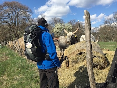 camino 2_biela sobota.jpg