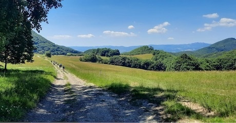 camino 5_rady.jpg