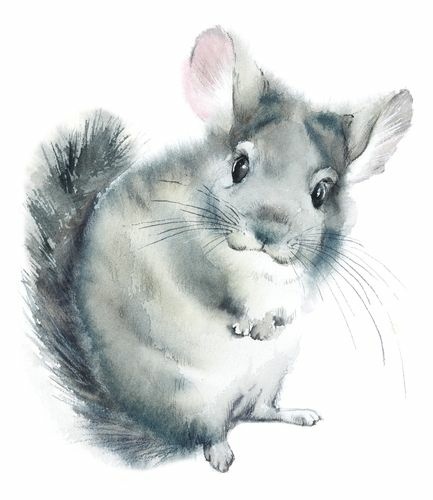 shutterstock_1879662793.jpg