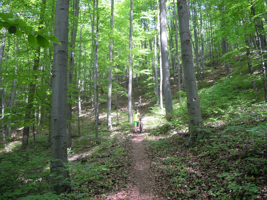 DSCN8684.JPG