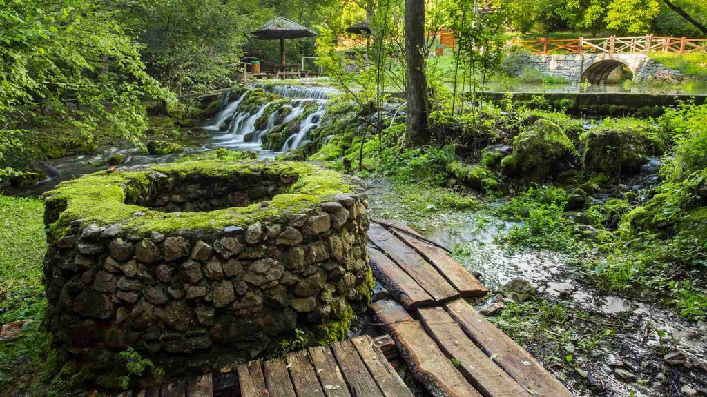 Foto CANVA(370).jpg
